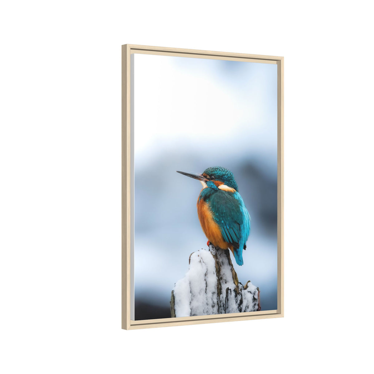 Framed Kingfisher Canvas Print — Matte Nature Wall Art