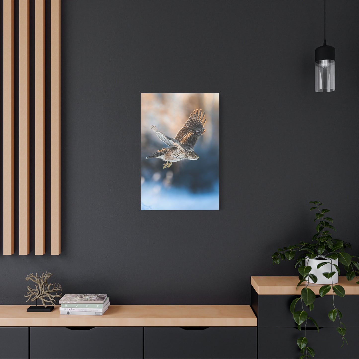 Bird of prey winter edition