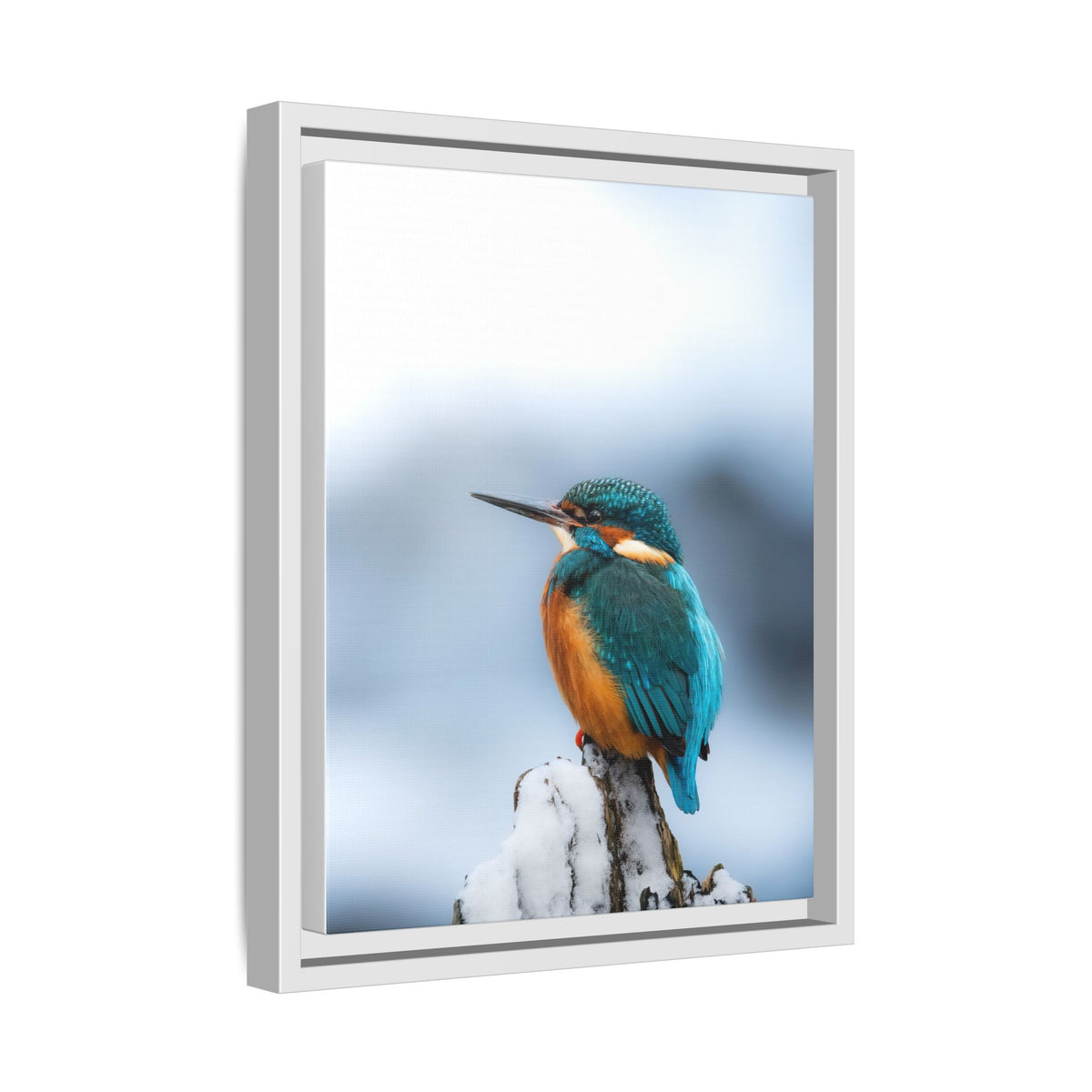 Framed Kingfisher Canvas Print — Matte Nature Wall Art