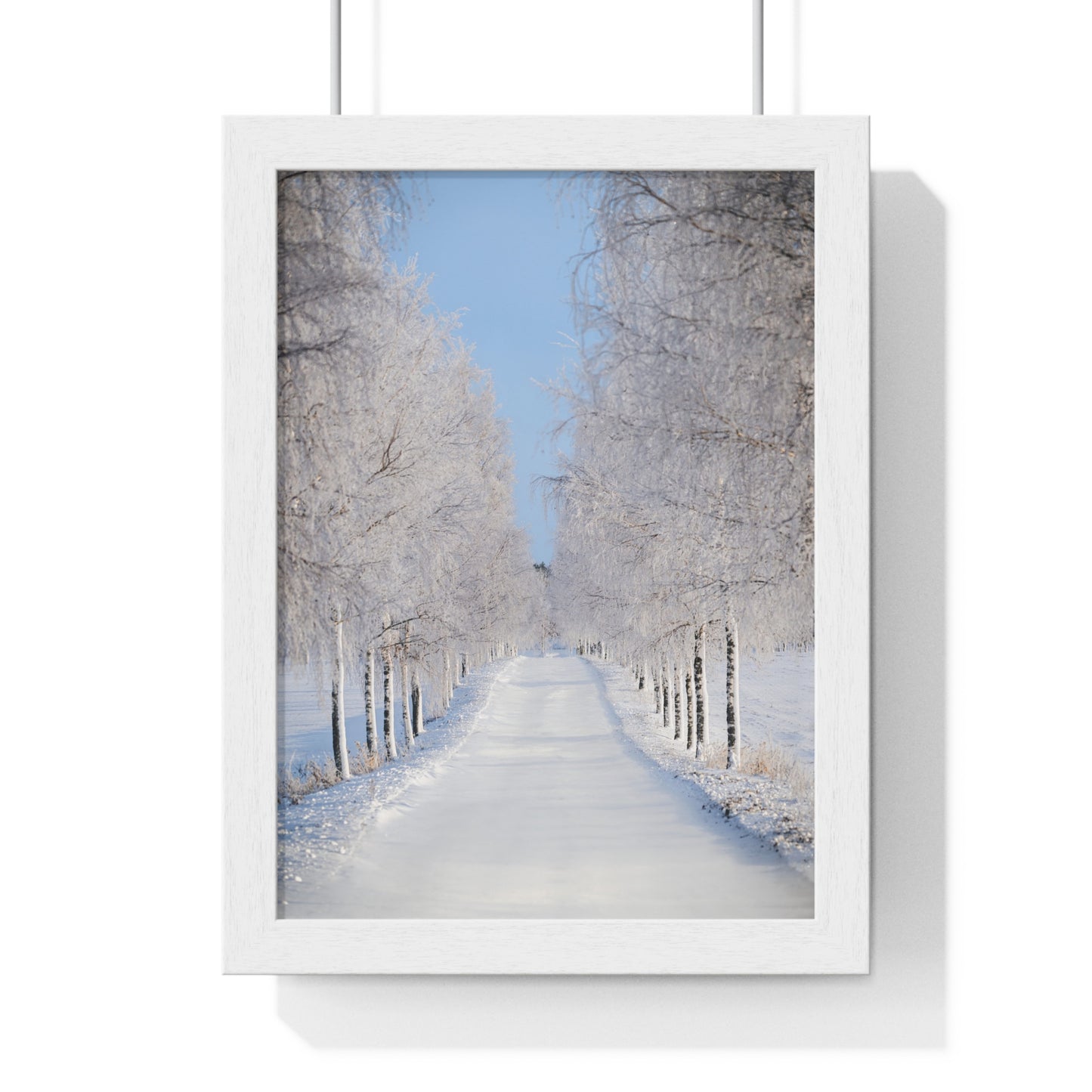 Winter Wonderland