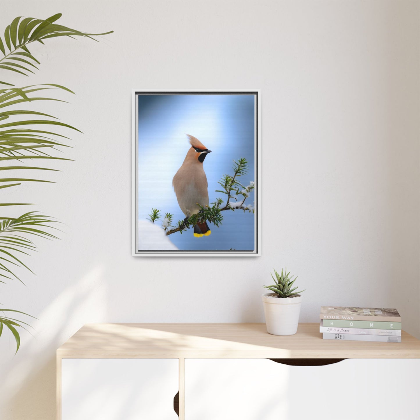 Bohemian Waxwing