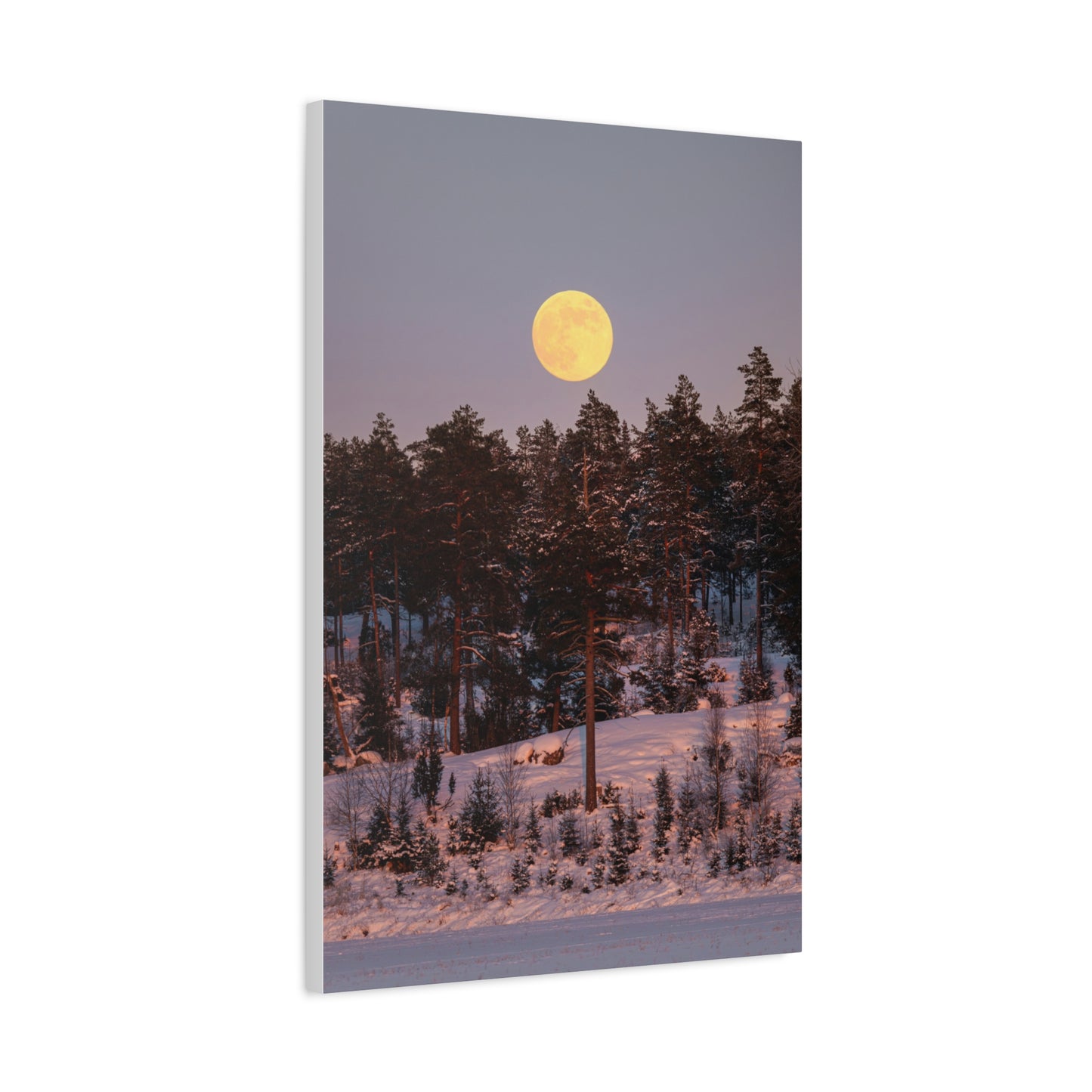 Winter Moonrise
