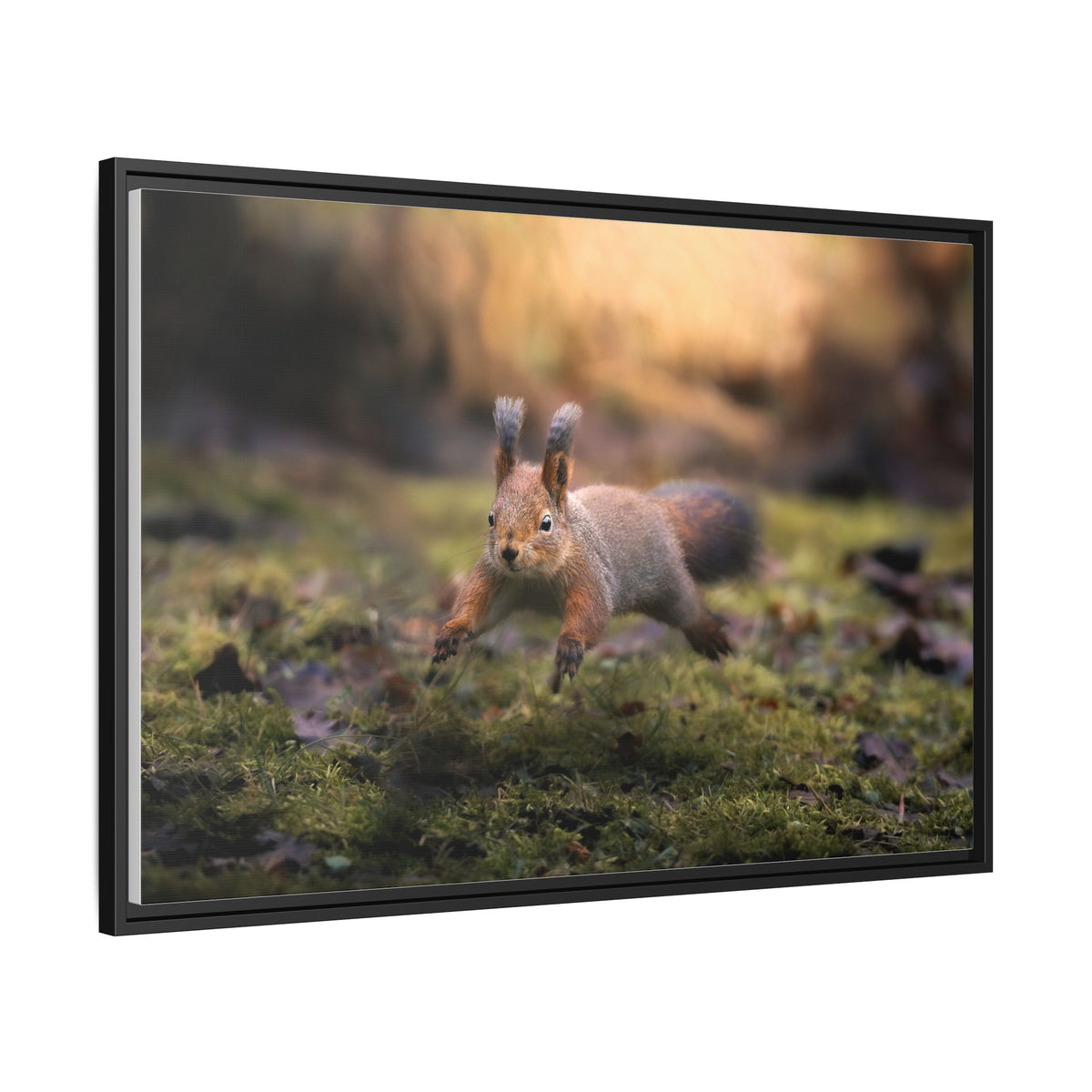 Framed Matte Canvas – Red Squirrel in Mossy Forest Wall Art