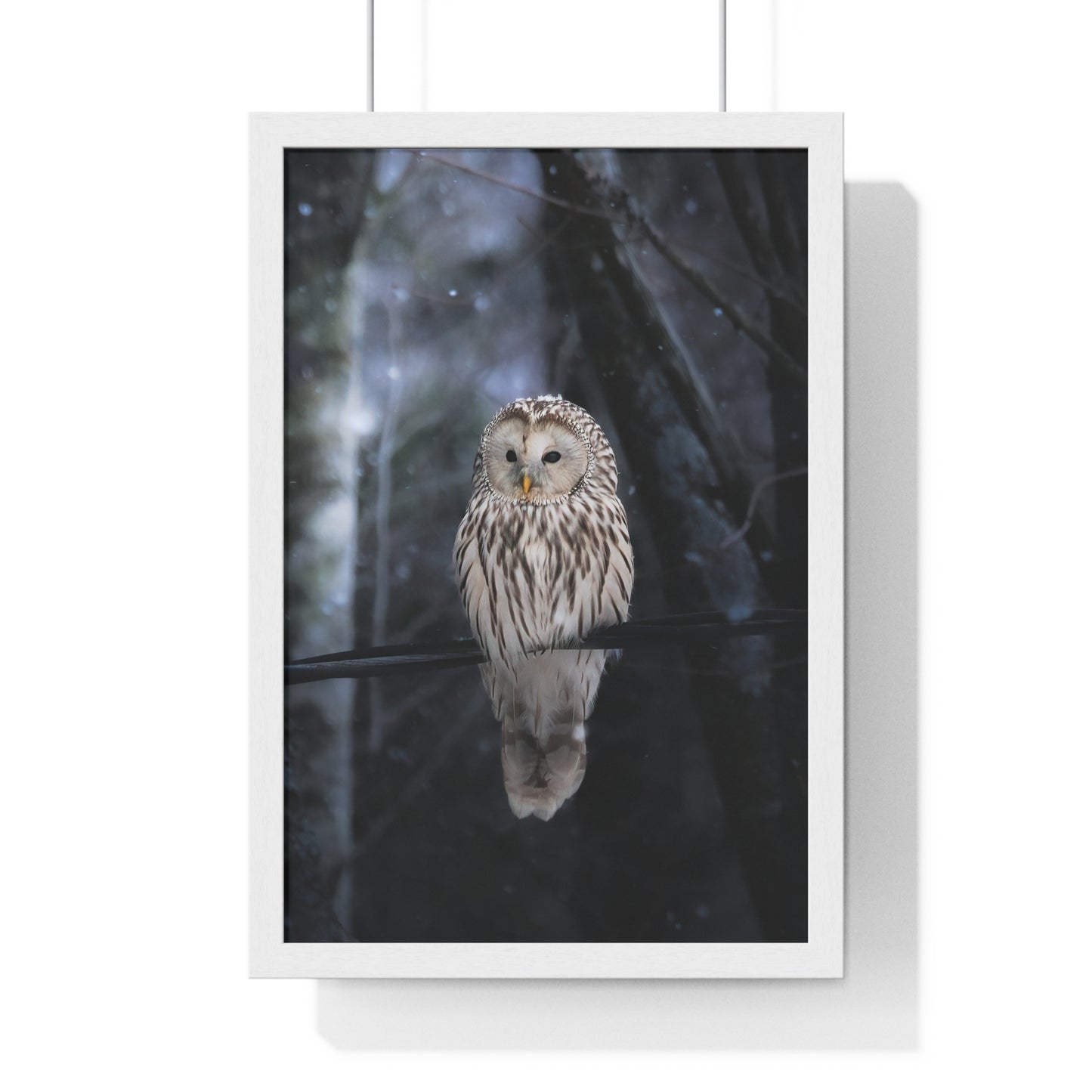 Winter Owl