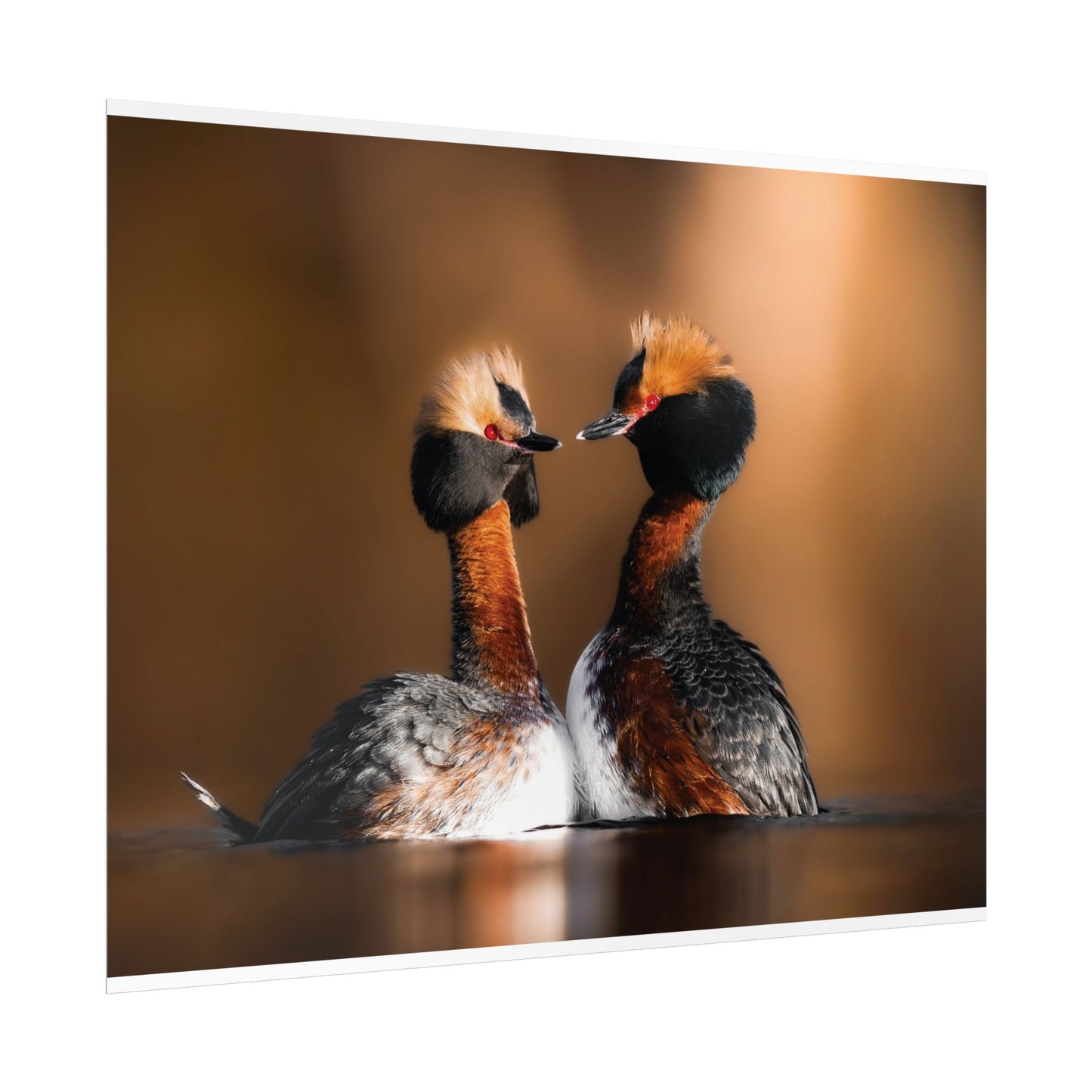 Mating Ritual poster