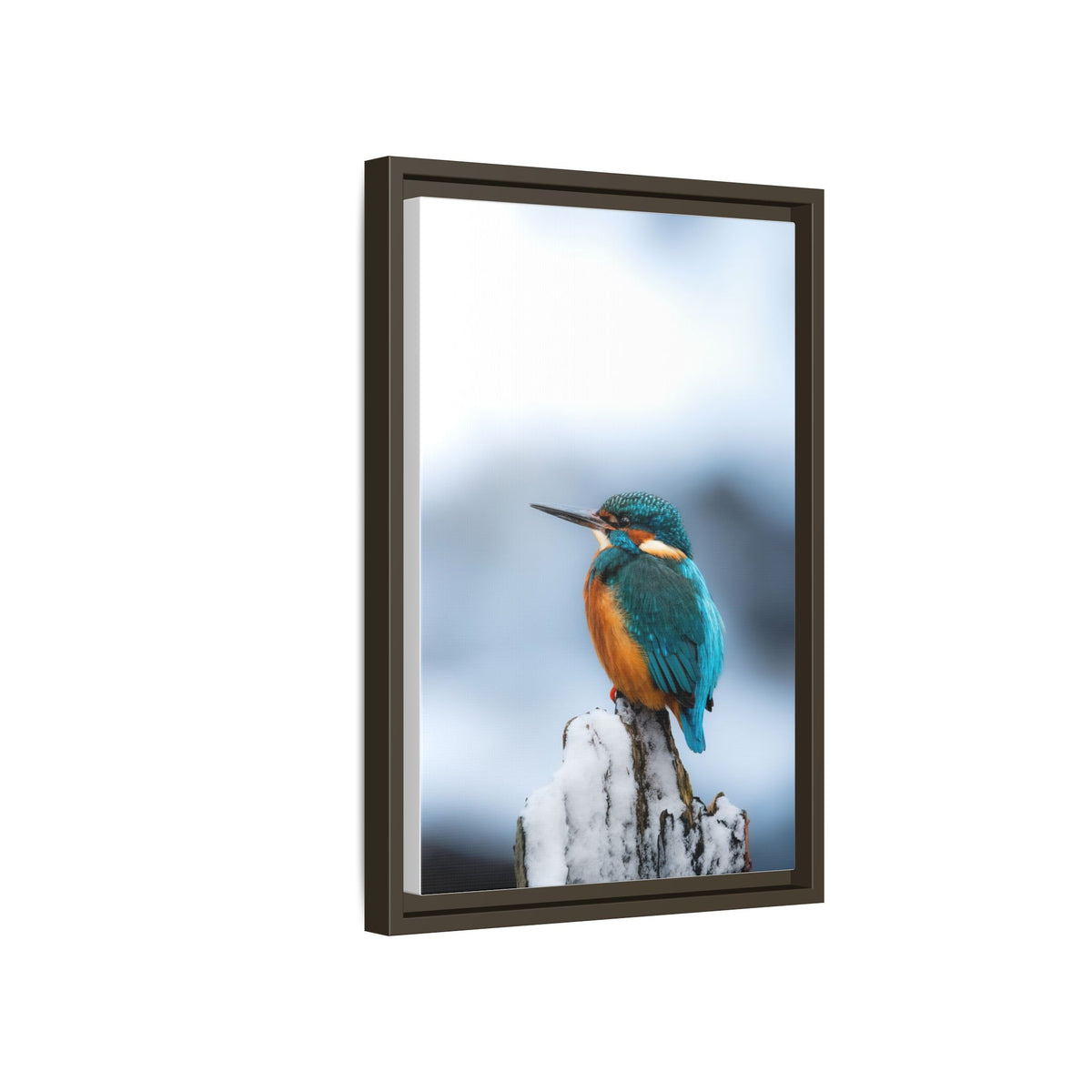 Framed Kingfisher Canvas Print — Matte Nature Wall Art