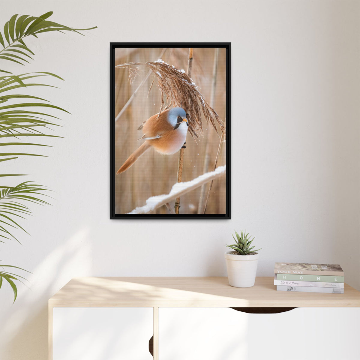 Framed Matte Canvas - Bearded Reedling Bird Photography (Winter Marsh)
