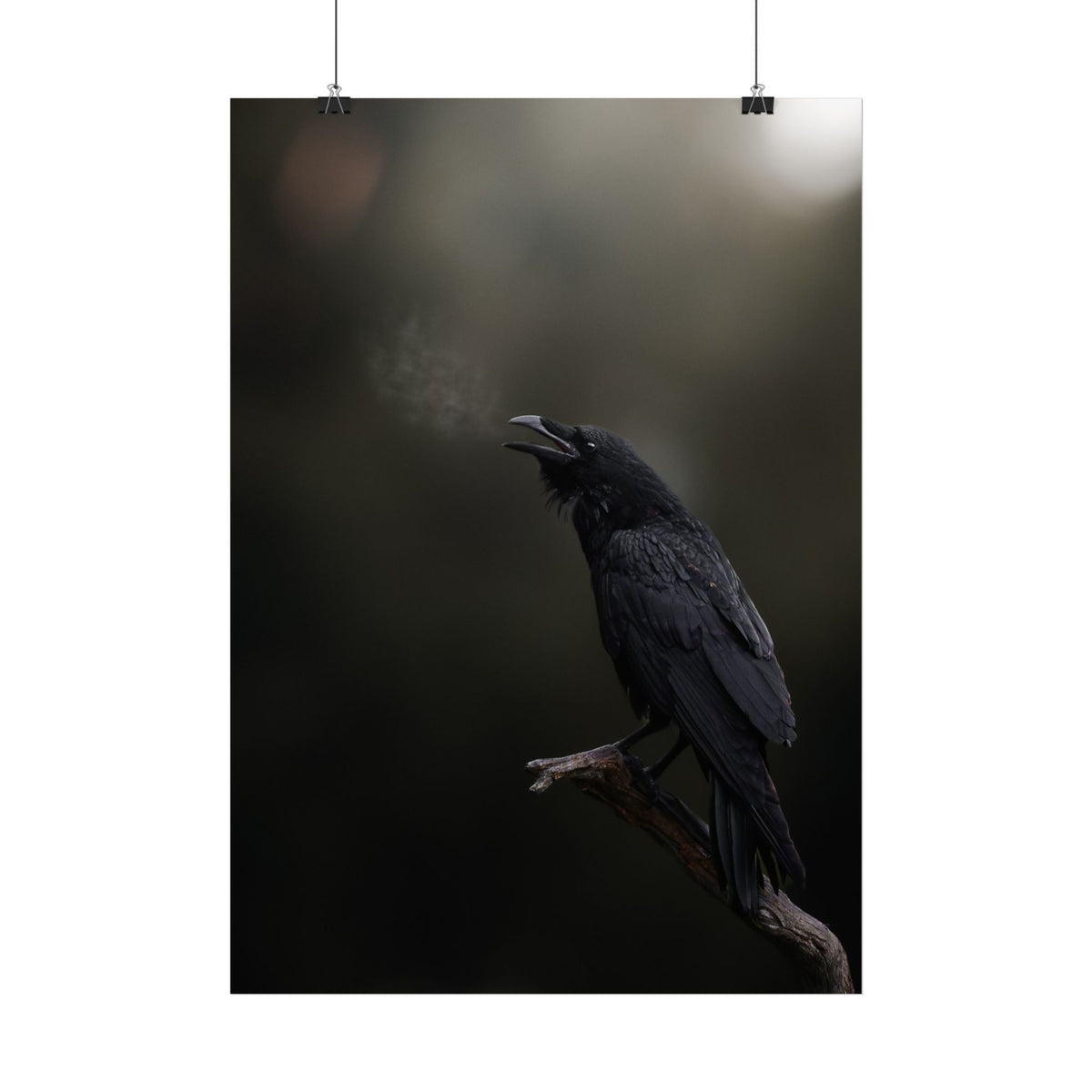 Raven Perch Poster – Moody Gothic Bird Wall Art
