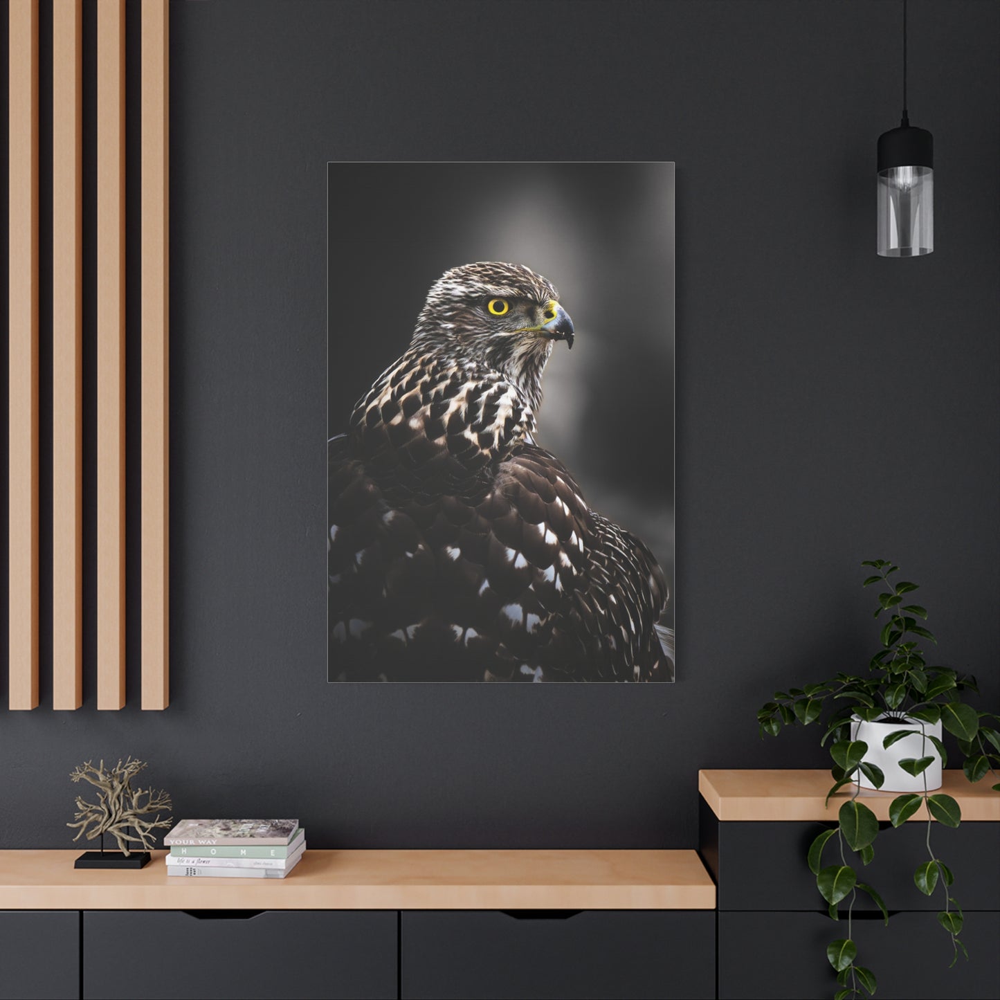 Close up Goshawk