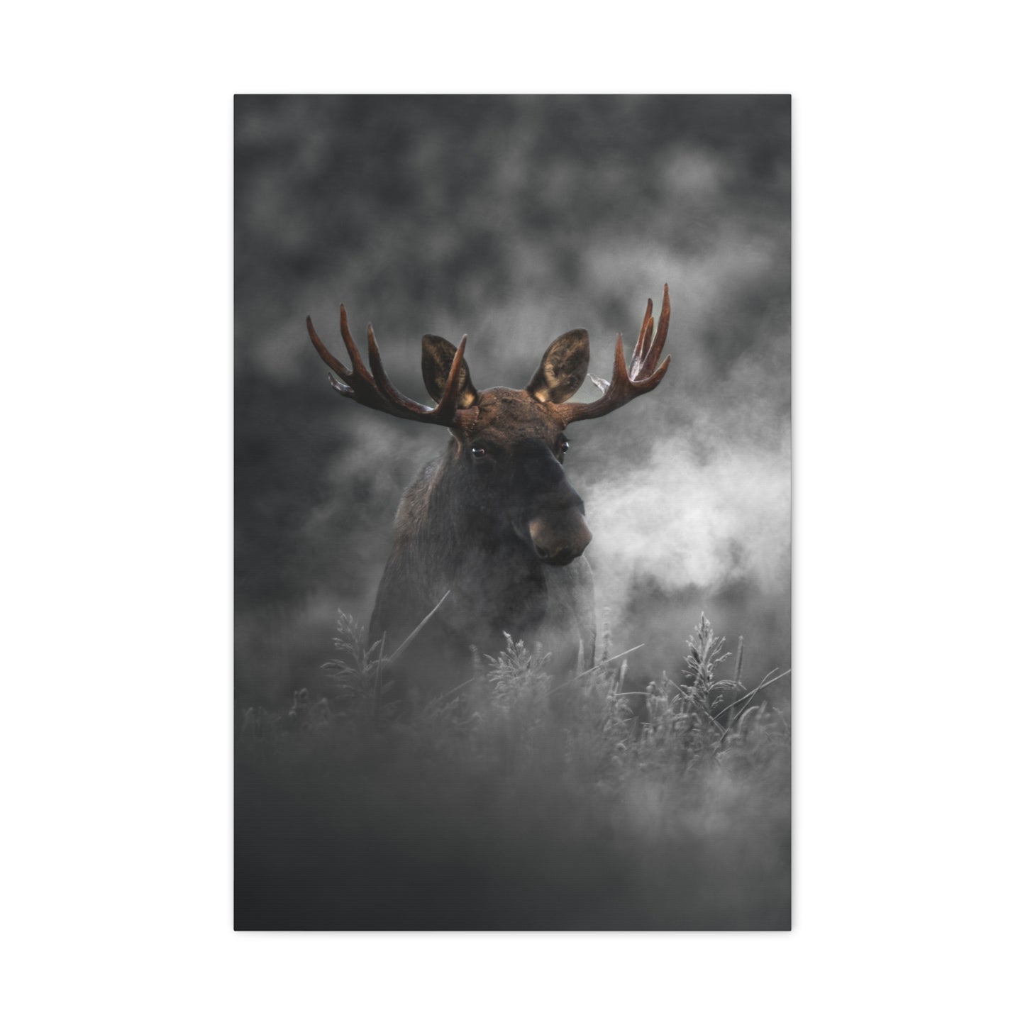 Mighty Moose