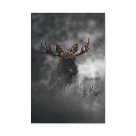 Mighty Moose