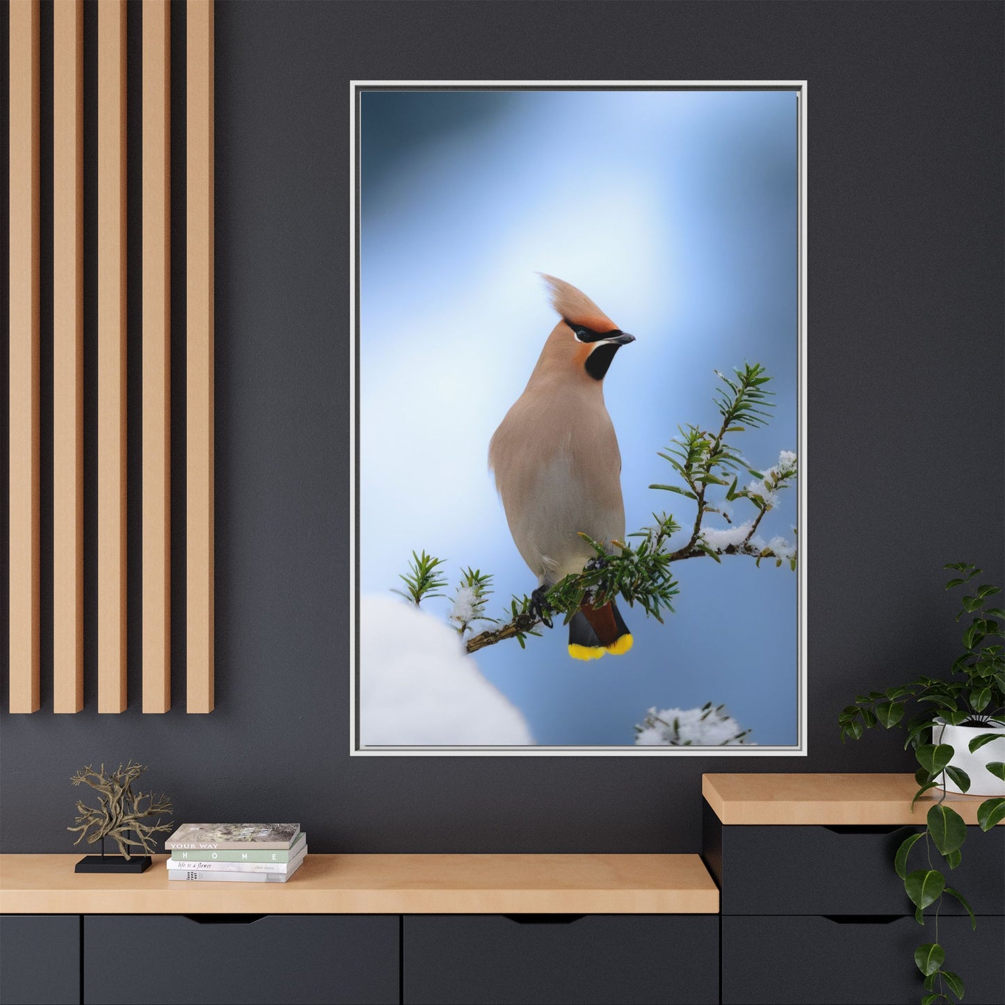 Bohemian Waxwing