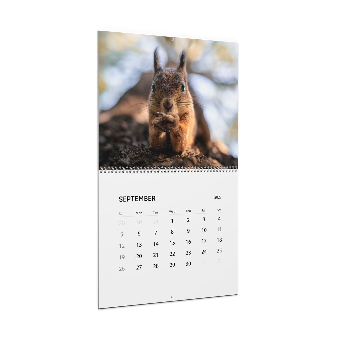 2027 Wildlife Wall Calendar — Nature & Wildlife in Finland by Photosysse