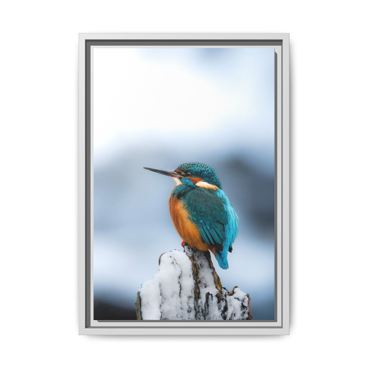 Framed Kingfisher Canvas Print — Matte Nature Wall Art
