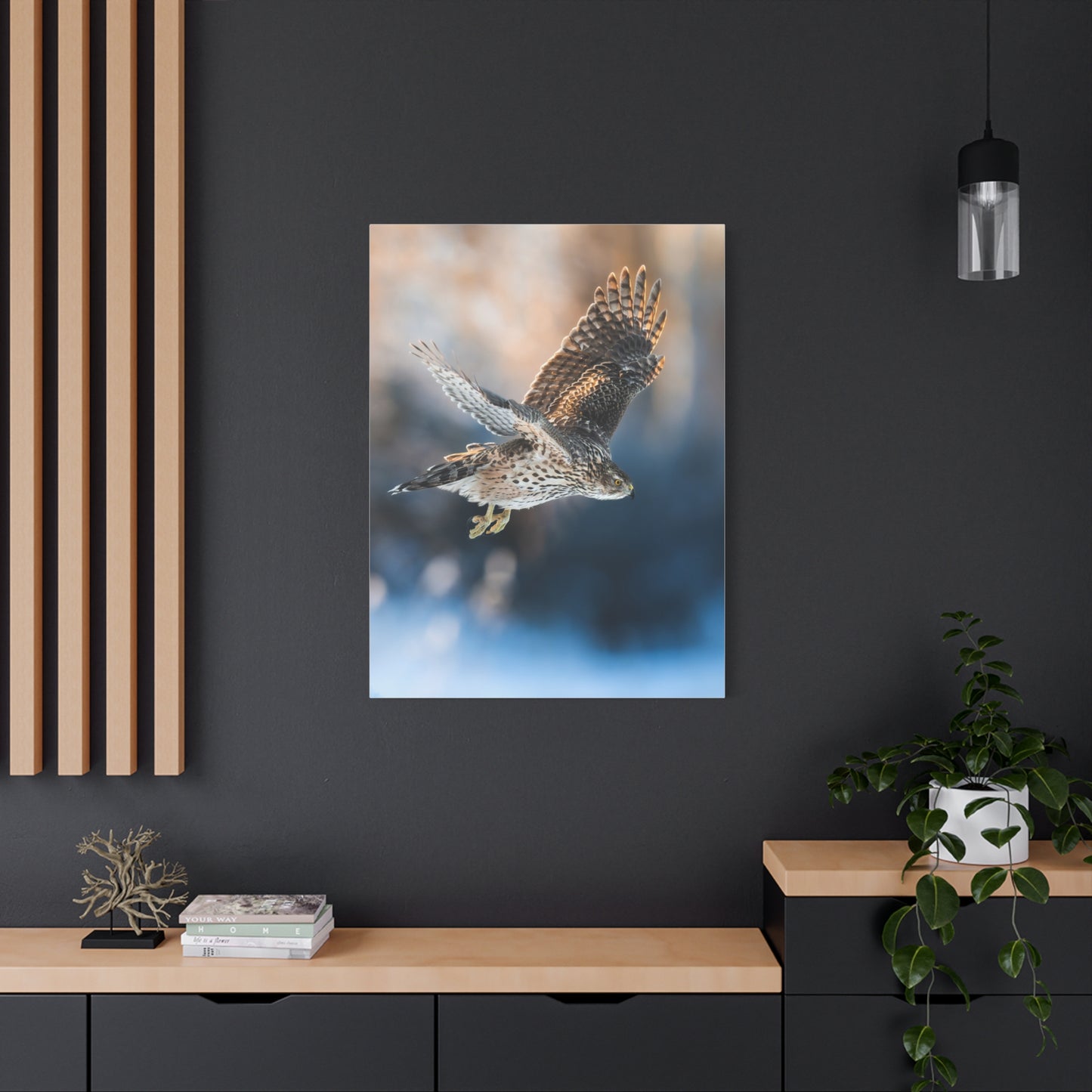 Bird of prey winter edition