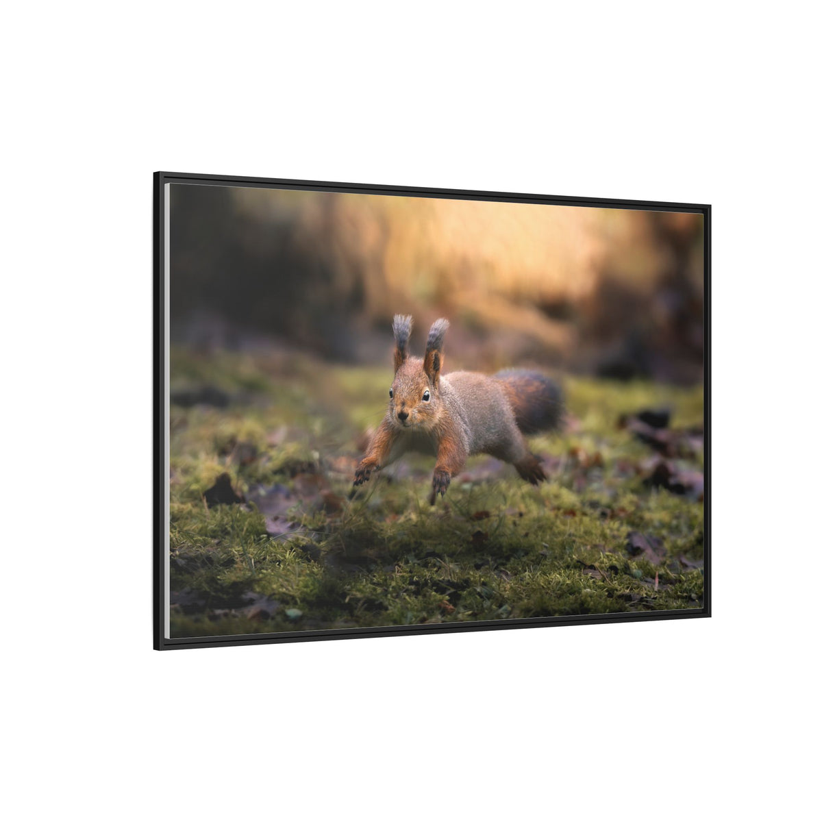 Framed Matte Canvas – Red Squirrel in Mossy Forest Wall Art