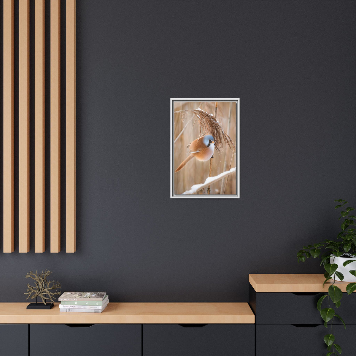 Framed Matte Canvas - Bearded Reedling Bird Photography (Winter Marsh)
