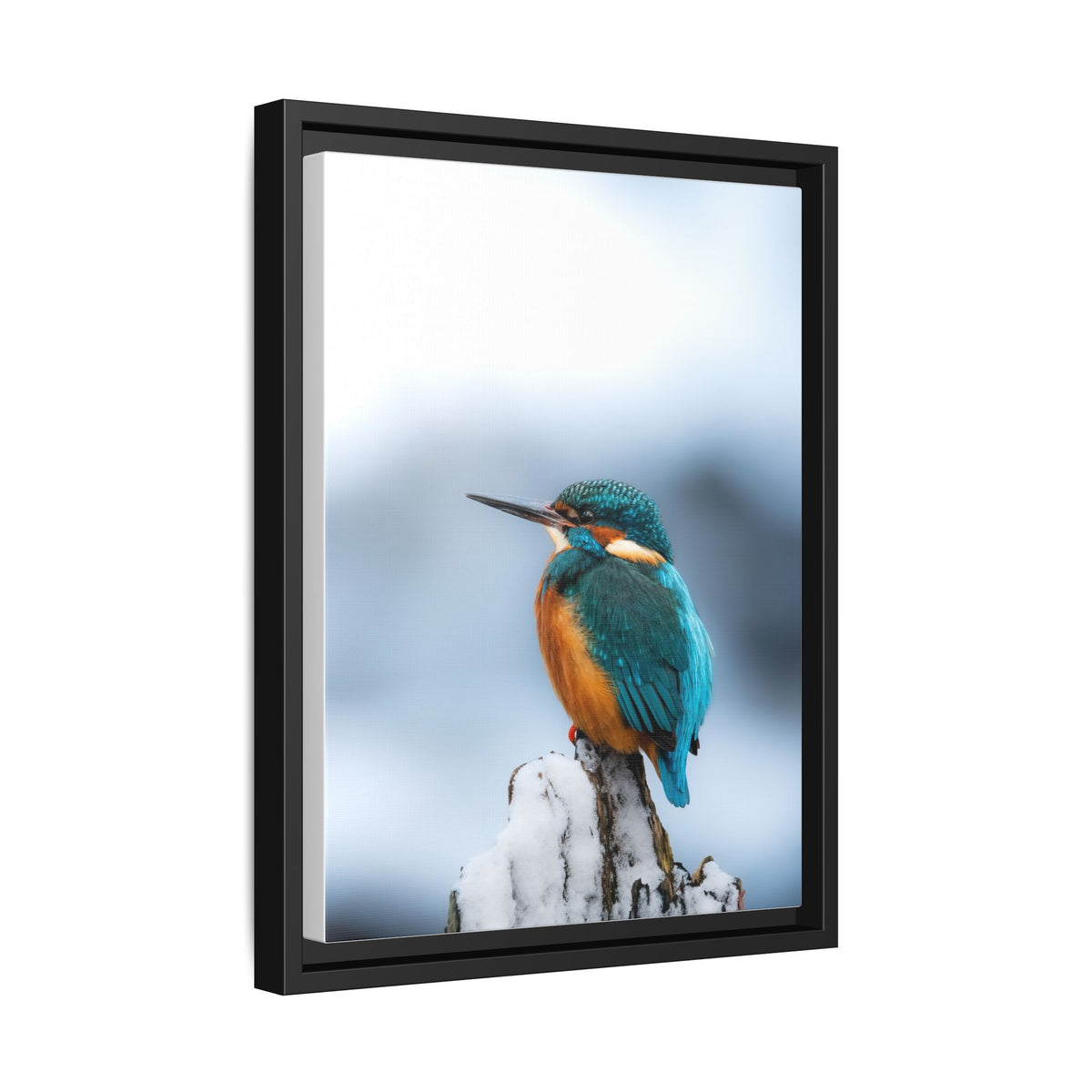 Framed Kingfisher Canvas Print — Matte Nature Wall Art