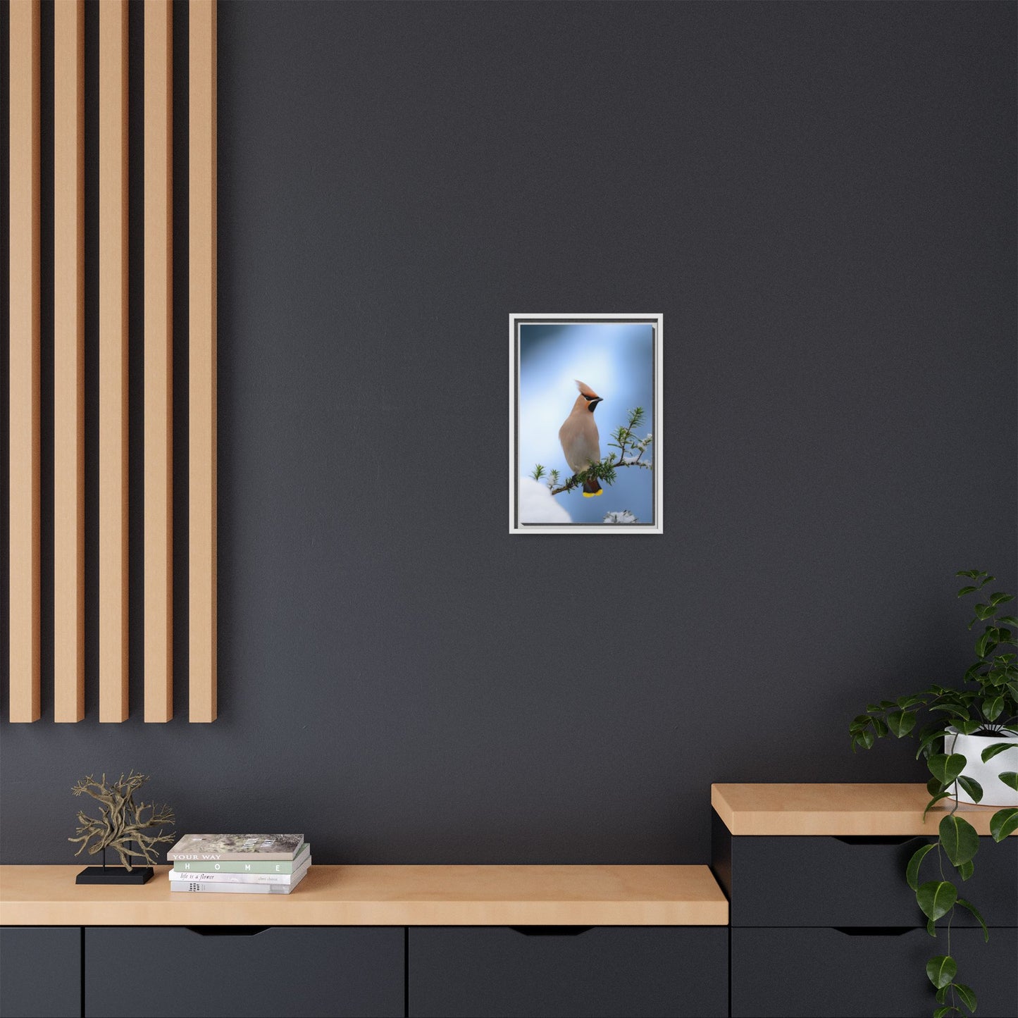 Bohemian Waxwing