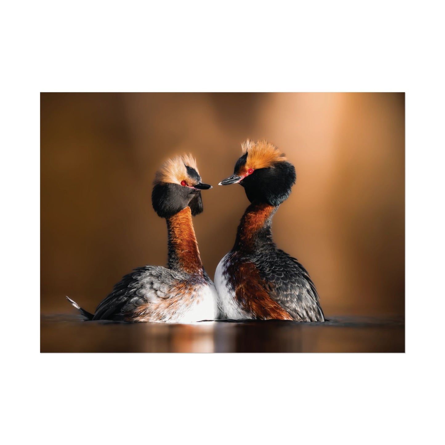 Mating Ritual poster