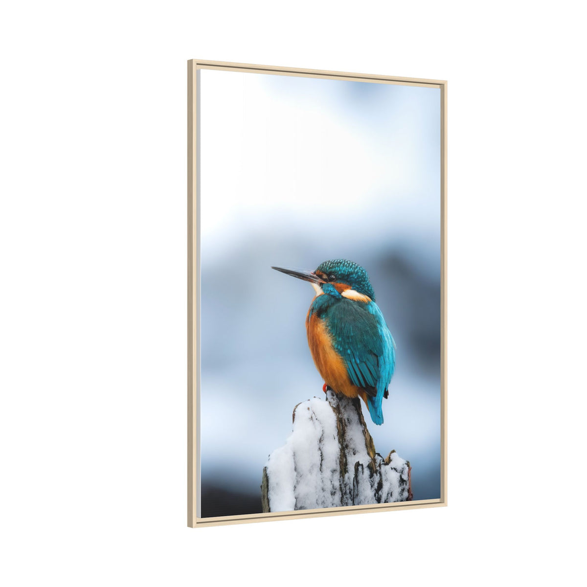 Framed Kingfisher Canvas Print — Matte Nature Wall Art