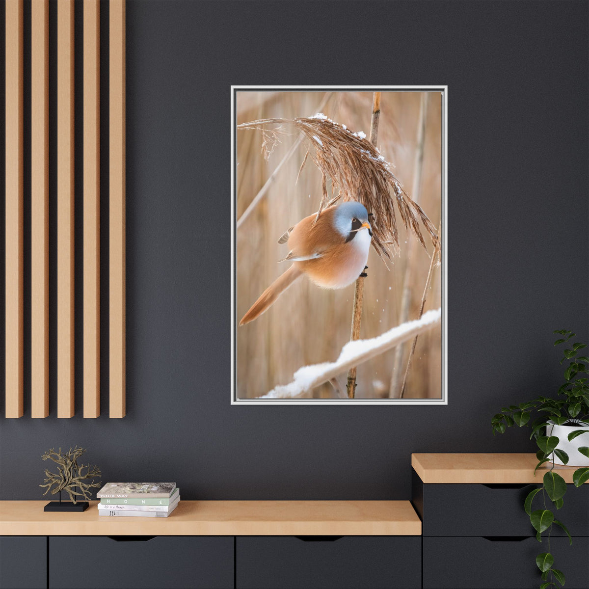Framed Matte Canvas - Bearded Reedling Bird Photography (Winter Marsh)