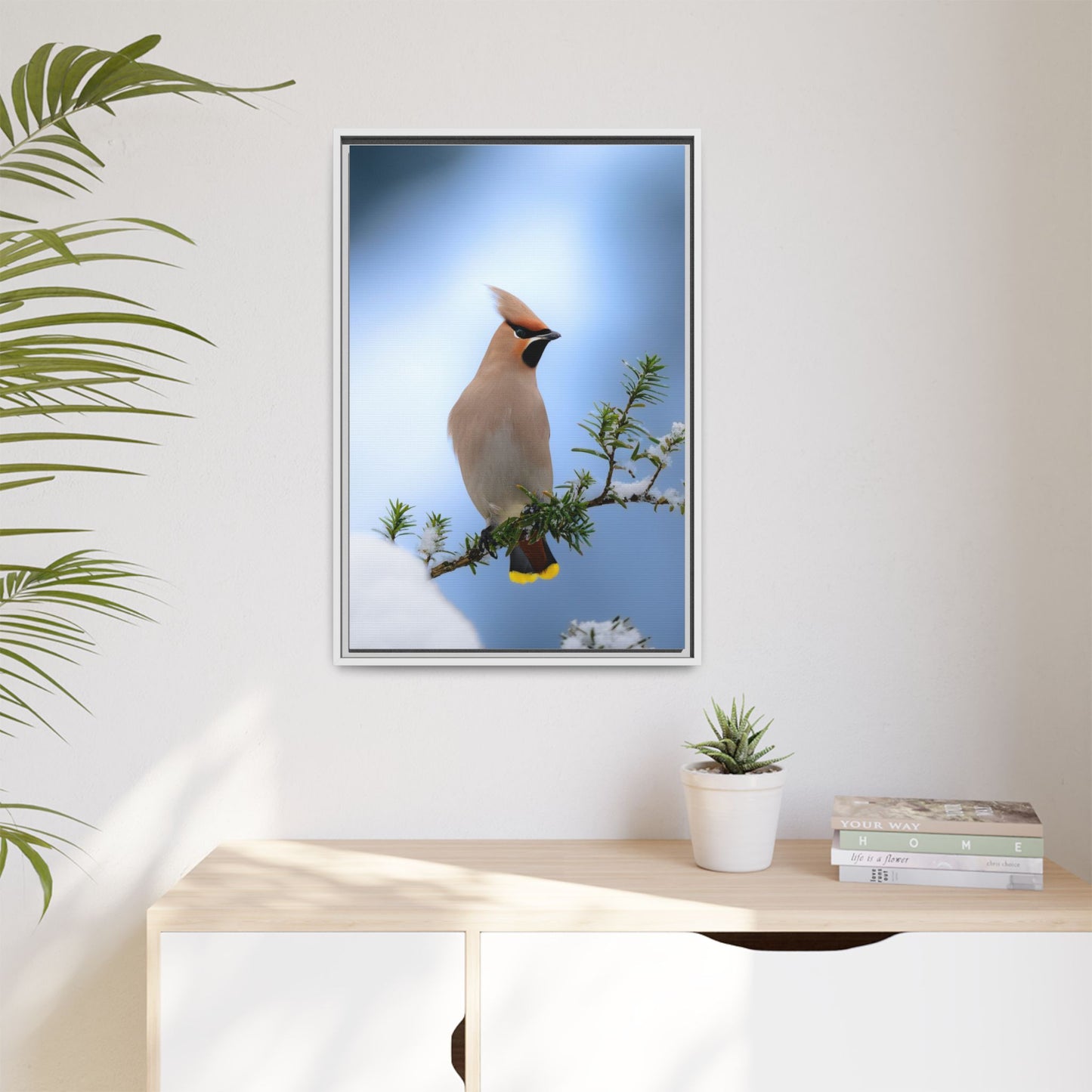 Bohemian Waxwing
