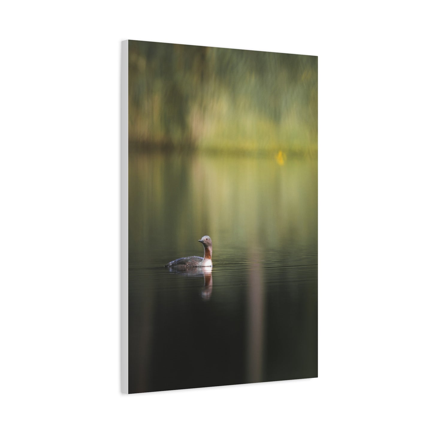 Calm Waters