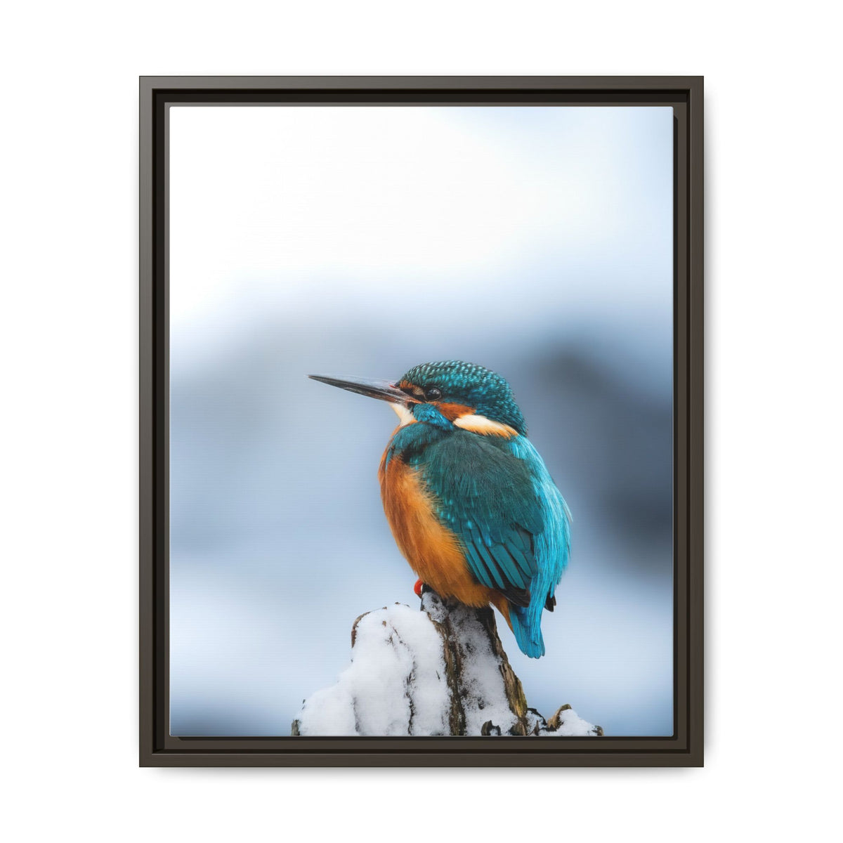 Framed Kingfisher Canvas Print — Matte Nature Wall Art