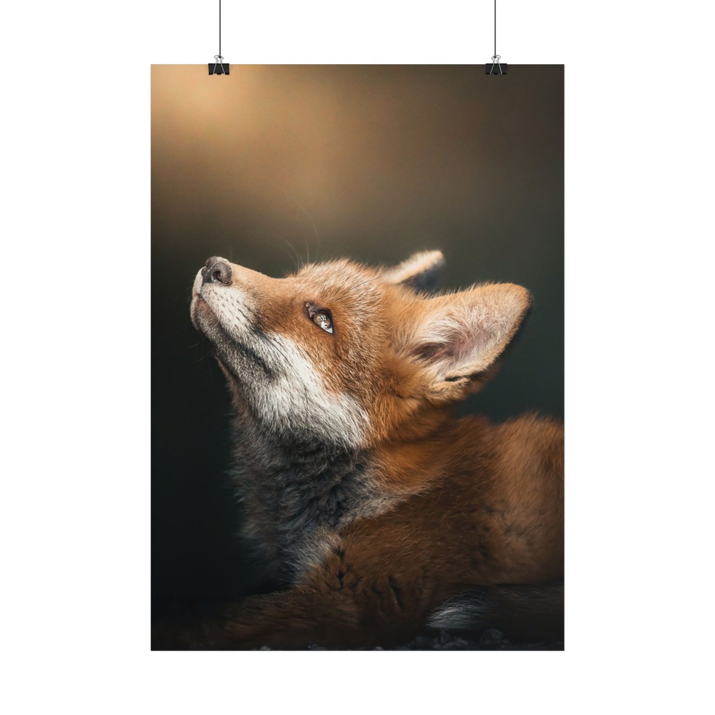 Believer poster