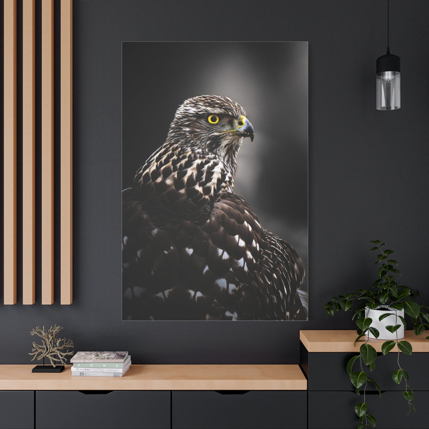 Close up Goshawk